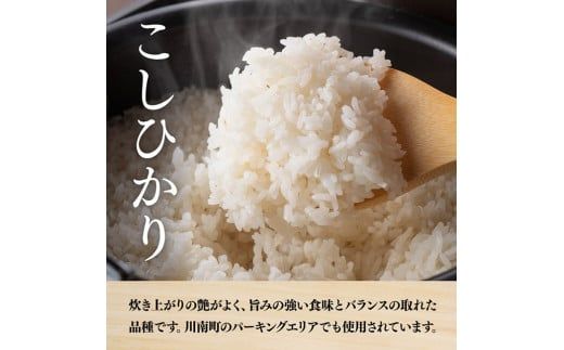 【令和6年産】永友農園産「こしひかり」10kg（10kg×1袋）　【 米 お米 白米 精米 国産 宮崎県産 コシヒカリ 】 [D10604]