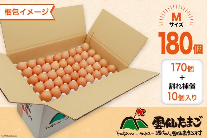 BI050 6回 定期便 どっさり！ 雲仙たまごMサイズ 180個(170個＋割れ補償10個入り) [ 卵 たまご 生卵 鶏卵 赤卵 玉子 新鮮 塚ちゃん雲仙たまご村 長崎県 島原市 ]