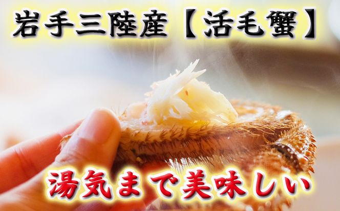 【令和8年発送】岩手三陸産【活毛蟹】| 300g×2【2026年2月～4月発送】 新鮮の極 | 毛がに 毛かに【0tsuchi01289】【15】