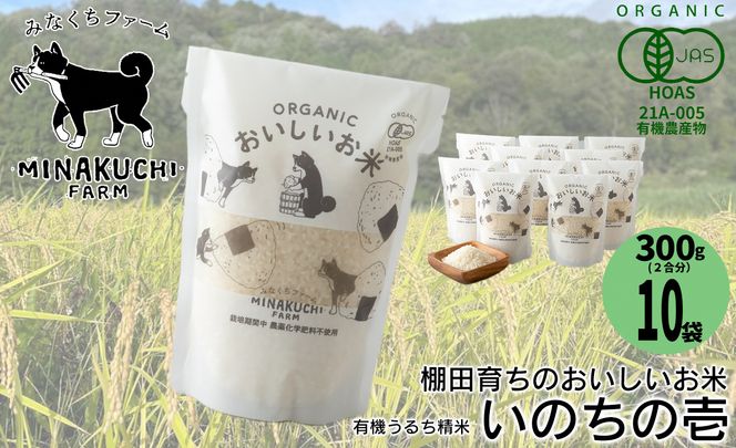 yꌧszyC-102z݂Ȃt@[@Ic炿̂ā@̂̈@L@邿ā@300gi2)×10mIin