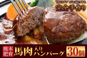 馬肉入り手作りハンバーグ(約150g×30個) 肉の宮本《45日以内に出荷予定(土日祝除く)》---sn_fmiyahamburg_45d_r7_27000_30i---