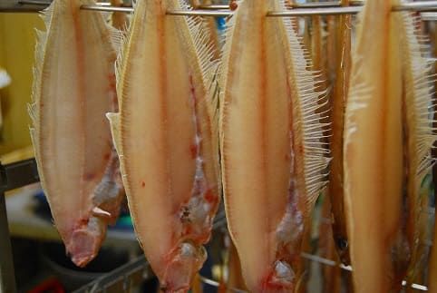 ys{Oszꂢ銱iTTJCAiMVJCjTCY 5Zbg@UO00066