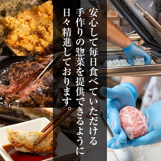 ＜訳あり定期便・全5回＞人気のお惣菜定期便 国産 牛肉 ササミ 鶏肉 とり肉 おかず 惣菜 真空冷凍 揚げ物 ギョウザ ぎょうざ お肉 から揚げ ハンバーグ 鶏料理 冷凍 真空パック【スーパーよしだ】a-65-5-z