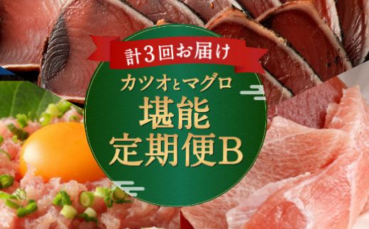 【ふるさと納税】【3回定期便】カツオとマグロ堪能定期便B お楽しみ 切り落とし 刺身 刺し身 鮪 鰹 まぐろ カツオのたたき ネギトロ 海鮮 魚 惣菜 海産物 魚介類 魚貝 高知県 まぐろたたき 冷凍 訳あり 不揃い 傷 規格外 故郷納税 どんぶり お手軽 便利 30000円　tk013