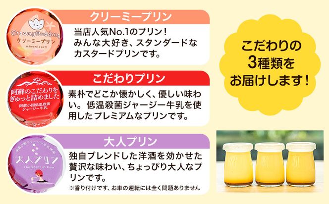 プリン 南阿蘇のプリン専門店 キャラメルプディング 人気プリン3種×3個セット 計9個お届け《60日以内に出荷予定(土日祝を除く)》プリン 南阿蘇こだわりプリン 大人プリン クリーミープリン 手作り 阿蘇小国ジャージー牛乳 お菓子 スイーツ お土産---sms_ckyapudding_60d_r7_14000_9p---