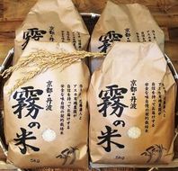 【4回定期便】亀岡盆地『霧の米』 5kg×4ヶ月（毎月お届け）計20kg ＜アスカ有機農園＞《令和6年産 特別栽培米 コシヒカリ 米》京都丹波産 特Ａ