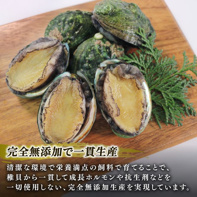 満点☆青空レストラン うまい！おせち2024に採用されました【三陸翡翠あわび お手軽ファミリーセット 40g×6個 数量限定】[hisui003]