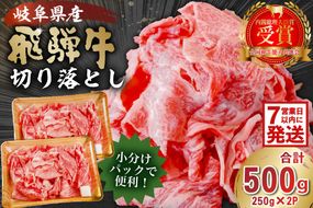 【7営業日以内発送】飛騨牛切り落とし500ｇ（250ｇ×2）【0016-017】