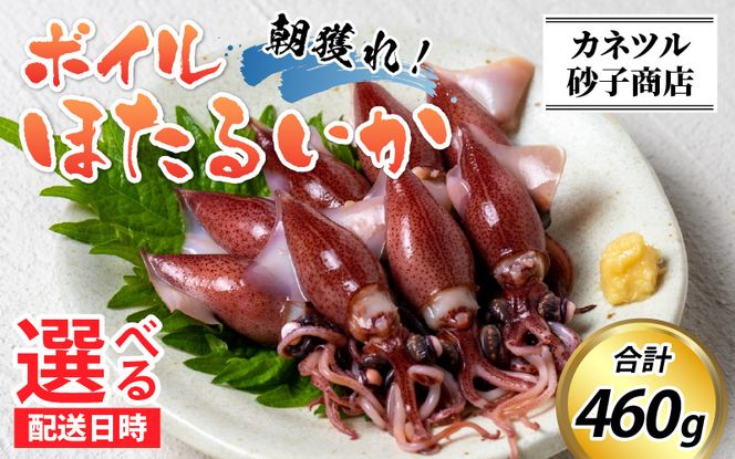 【先行予約】ボイルほたるいか※着日指定は備考欄へ　※25年3月中旬以降順次発送予定【(有)カネツル砂子商店】