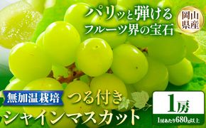 【先行予約】 岡山県産 無加温栽培 つる付き シャインマスカット 1房 (680g以上) 【配送不可地域あり】 《9月上旬-11月上旬頃に出荷予定》 岡山県 矢掛町 マスカット ぶどう 葡萄 果物---osy_chbf13_ad911_25_18000_1---