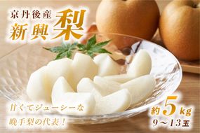 【先行予約】甘～ぃ！ジューシー！！晩生梨の代表 京丹後産 新興梨 5kg（9～13玉）（2025年10月中旬～発送）　国産 なし ナシ 梨 2024フルーツ ふるーつ 果物 くだもの 農家応援 生産者応援 YK00105