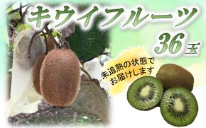 未追熟 キウイフルーツ 36玉（約3.6kg）_2302R