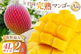 【2025年夏発送】 宮崎 完熟 マンゴー 秀品 A品 4L×2玉 化粧箱入り [宮崎県農業協同組合日向地区本部（販売課） 宮崎県 日向市 452060662] 果物 フルーツ 完熟マンゴー 甘い 日向 化粧箱 期間限定 冷蔵