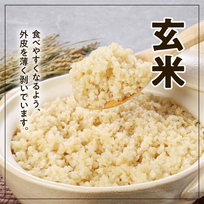 宮崎ヒノヒカリ 延岡産 白米と白い玄米セット 合計10.8kg N0149 宮崎ヒノヒカリ 延岡産 白米と白い玄米セット 合計10.8kg N0149