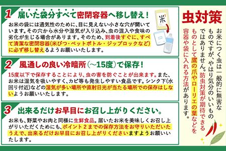 熊本県産 さとほまれ 無洗米 ご家庭用 15kg 5kg×3袋 《11月-12月より出荷予定》熊本県 玉名郡 玉東町 米 こめ コメ ブレンド米 送料無料---gkt_sthml_af11_24_26500_15kg---