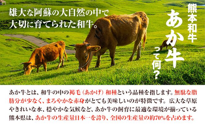 熊本和牛 ランプステーキ 150g×2枚 あか牛のたれ付き 希少部位 熊本県産 あか牛 赤牛 あかうし 三協畜産《60日以内に出荷予定(土日祝除く)》---sn_fskarnstk_23_60d_25500_300g---