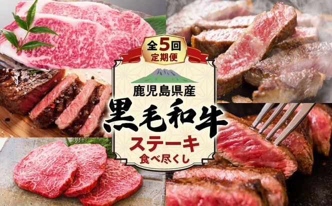 【全5回】鹿児島県産黒毛和牛ステーキ食べ尽くし定期便　K000-T2308