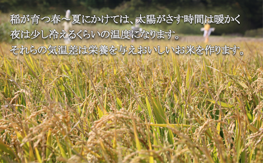 ＜北海道の米（1.5kg）～ふっくらつややか！若い農家が作る新米～＞