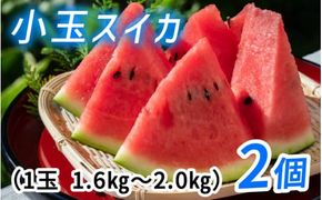 【先行予約】種まで食べられるスイカ 小玉スイカ（ピノガール）【2026年7月上旬以降順次発送】