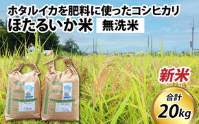 【先行予約】【新米】ほたるいか米（新米/無洗米20kg）25年10月以降順次配送予定