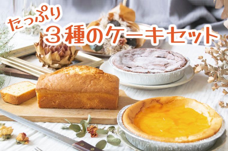 [お歳暮・のし対応可]たっぷり3種ケーキ|栃木県 益子町 ふるさと納税 ケーキ 3種 スイーツ セット チーズケーキ ガトーショコラ パウンドケーキ