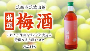 【 特選 】 梅酒 アルコール 15％（ 500ml × 1本 ） 果実酒 お酒 酒 梅 うめ ウメ [DP002ci]