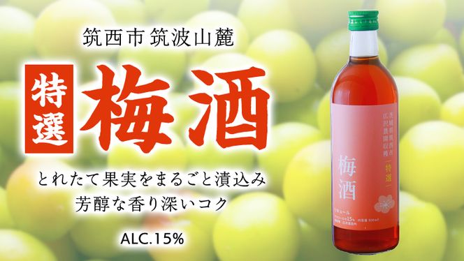 y錧}szy I z ~ AR[ 15i 500ml × 1{ j ʎ   ~  E [DP002ci]