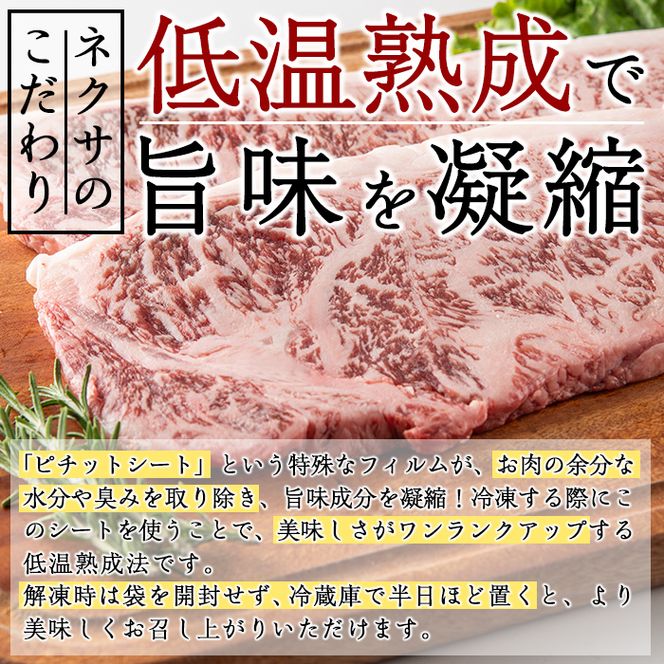 おおいた和牛 サーロインステーキ (計400g・サーロインステーキ約200g×2枚+ステーキソース20g×2袋) 国産 牛肉 肉 霜降り 低温熟成 ステーキ A4 和牛 ブランド牛 BBQ 冷凍 大分県 佐伯市【DH62】【(株)ネクサ】