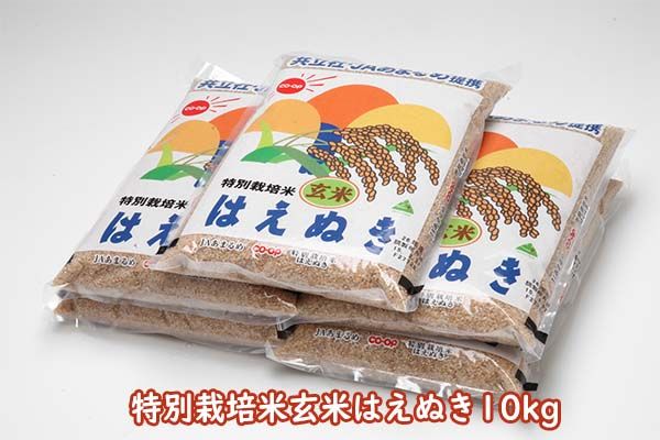 特別栽培米玄米はえぬき 10kg 2kg×5袋 コシヒカリの原点、亀の尾発祥の地 庄内 ブランド米 玄米 令和6年産 2024年産[1048-019A]