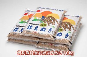 特別栽培米玄米はえぬき 10kg 2kg×5袋 コシヒカリの原点、亀の尾発祥の地 庄内 ブランド米 玄米 令和6年産 2024年産【1048-019A】