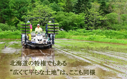 ＜北海道の米（１０kg）～ふっくらつややか！若い農家が作る新米～＞