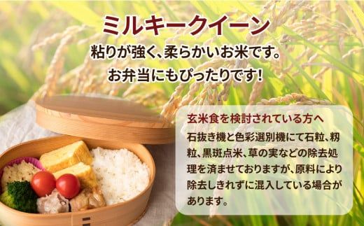 令和7年産 茨城県産 ミルキークイーン 玄米 2kg×5袋｜ このお米は石抜き機、色彩選別機の処理済みです　※離島への配送不可　※2025年10月下旬～2026年7月下旬頃に順次発送予定