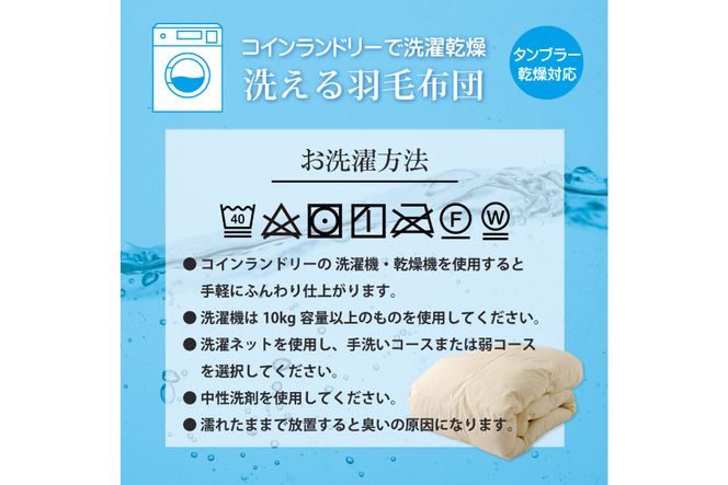 【春夏用】洗える! 羽毛布団 ダウンケット ダブル ホワイトグース93% 0.65kg 抗菌防臭 無地 アイボリー [川村羽毛 山梨県 韮崎市20742563] 羽毛 布団 ふとん 羽毛ふとん 掛け布団 肌掛け布団 寝具 夏用 洗える