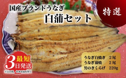 国産うなぎ白蒲セット4本【最短3日発送】うなぎの白焼き（120g～130g×2尾）、うなぎの蒲焼き（120g～130g×2尾）、男のきくらげのセット｜国産のブランド鰻を茨城県土浦市の職人が丁寧に作り上げた美味しい蒲焼きと白焼きです ※離島への配送不可