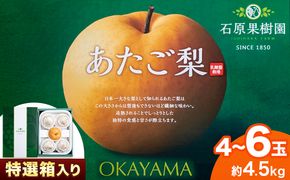 【2024年先行予約】梨 あたご梨 4 から 6玉 計4.5kg 特選箱 石原果樹園 《2024年11月下旬-12月下旬頃より発送予定》岡山県 浅口市 フルーツ 果物 ギフト 贈り物 国産 岡山県産 送料無料---124_586_11g12g_24_22000_45