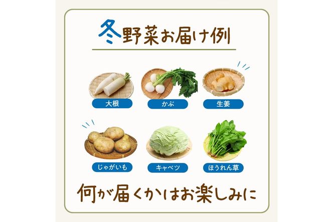 【先行予約／数量限定100】農家直送　旬の冬野菜8～10種セット　SJ00004