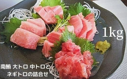 yÉĒÎsza25-026@VR 얎 g g lMg  l1kg