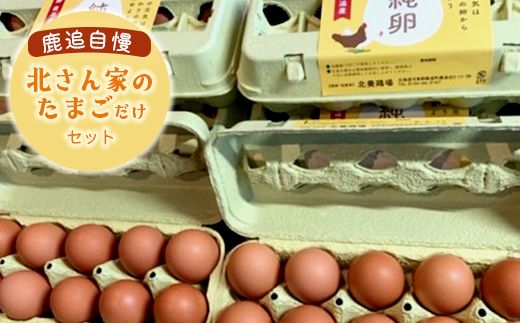 ぜーんぶ、北さん家のたまご SKL004