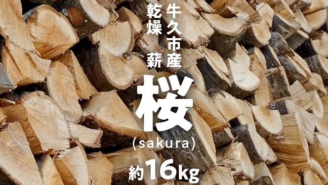 牛久市産 乾燥 薪 桜 ( さくら ) 約 16kg 天然木 マキ 乾燥薪 広葉樹 キャンプ アウトドア 焚火 焚き火 薪ストーブ 暖炉 たき火 野外  屋外 バーベキュー薪 ピザ窯の薪 グリル焼 [DP010us]（茨城県牛久市） | ふるさと納税サイト「ふるさとプレミアム」