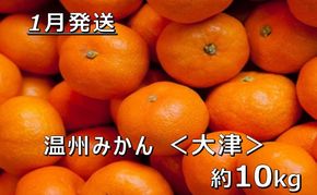 【1月中発送】【JAかながわ西湘】濃厚な甘さが自慢の「温州みかん（大津）」10kg