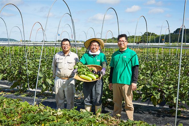 《京つけもの もり》冬の特撰 聖護院かぶらの千枚漬・青味大根・すぐきなど京つけもの 6種《 漬物 京野菜 》