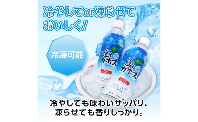 【I02059】塩とカボス　495ｍｌ×24本