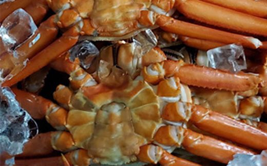 【冷凍】 魚卸問屋の紅ズワイガニ むき身 バラ身 400g ※北海道・沖縄・離島への配送不可 ※2025年9月下旬～2026年5月中旬頃発送予定