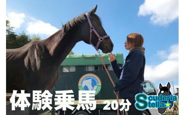 423. 体験乗馬 1回 (20分) 乗馬体験 馬 東海 岐阜県 