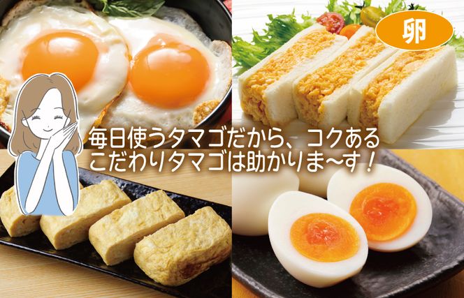 099S016 主婦が選んだ まんぷく セット（牛肉 ハラミ 銀鮭 切り身 たまご 野菜）【別送】