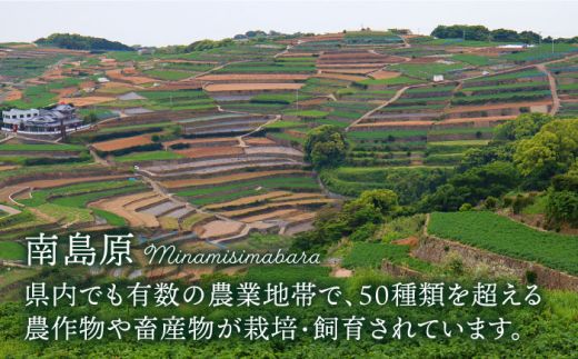 【6回定期便 奇数月コース】野菜 キノコ 果物 11品目 詰め合わせ / 南島原市 / 吉岡青果 [SCZ005]