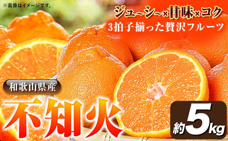 [先行予約]紀州有田産 不知火 ( デコポン と同品種 ) 約 5kg 株式会社魚鶴商店[2026年2月上旬-3月中旬頃より出荷予定] 和歌山県 日高町 不知火 しらぬい 柑橘 ご家庭用 デコポン 訳ありデコポン でこぽん---wsh_uot117_2c3c_25_15000_5kg---