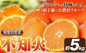 【先行予約】紀州有田産 不知火 ( デコポン と同品種 ) 約 5kg 株式会社魚鶴商店《2026年2月上旬-3月中旬頃より出荷予定》 和歌山県 日高町 不知火 しらぬい 柑橘 ご家庭用 デコポン 訳ありデコポン でこぽん---wsh_uot117_2c3c_25_15000_5kg---