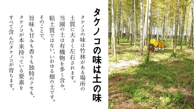 《 先行予約 》新鮮な ゆでタケノコ 約1kg 竹の子 1キロ 筍 たけのこ 水煮 真空パック 国産 たけのこご飯 【2025年4月上旬以降発送】 [DU001us]