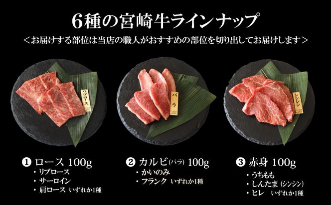 宮崎牛 特選 食べ比べ 6種盛り 合計600g_M109-014